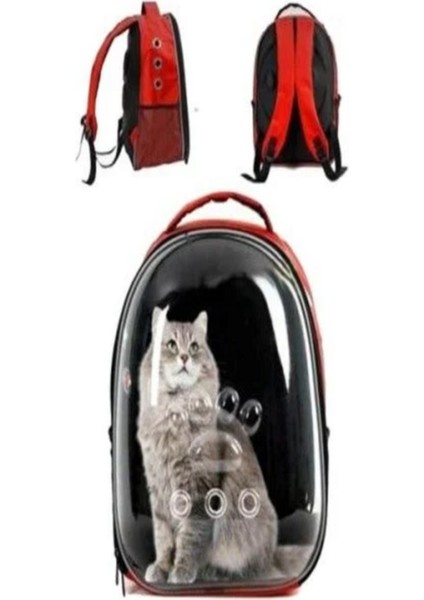 Kırmızı Çok Renkli Evcil Hayvan Taşıma Çantası, Güvenli ve Rahat Seyahat Için Ideal modelleri