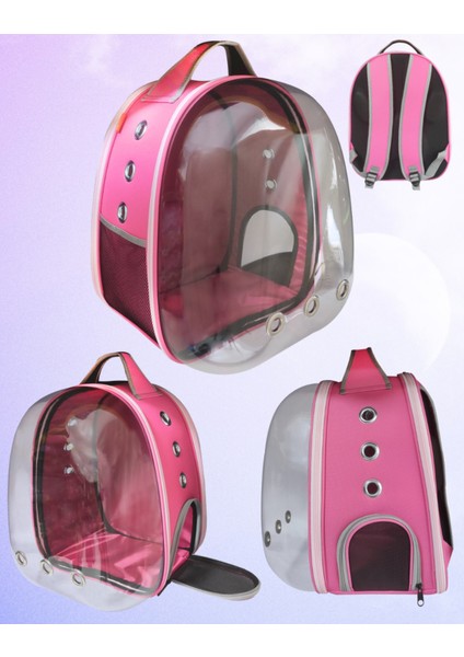 Çok Renkli Pembe Şeffaf Sırt Taşıma Çantası Evcil Hayvanlar Için