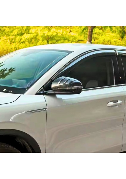 Byd Seal U Karbon Fiber Görünüm Yan Dikiz Ayna Kapakları 2'li Set Abs modelleri