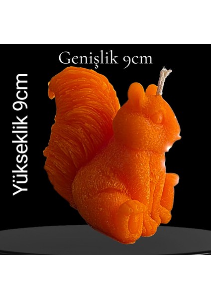 Dekorati Şankın Sincap Modeli Mum