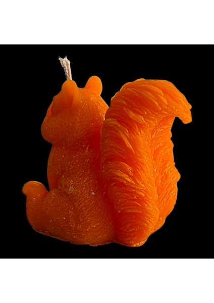 Dekorati Şankın Sincap Modeli Mum modelleri