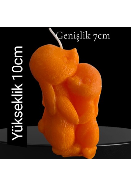 Dekoratif 2li Sincap Modeli Kokulu Mum