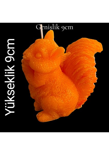 Dekoratif Mutlu Sincap Modeli Mum