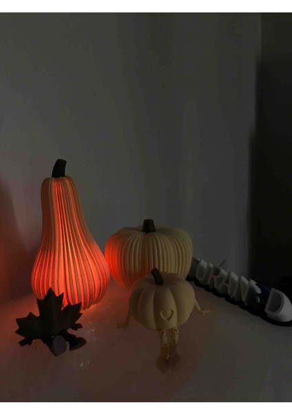 Sonbahar Temalı 3D Baskı Balkabağı Dekor Seti – Pilli Işıklı Mumluk (Pla Malzeme) modelleri