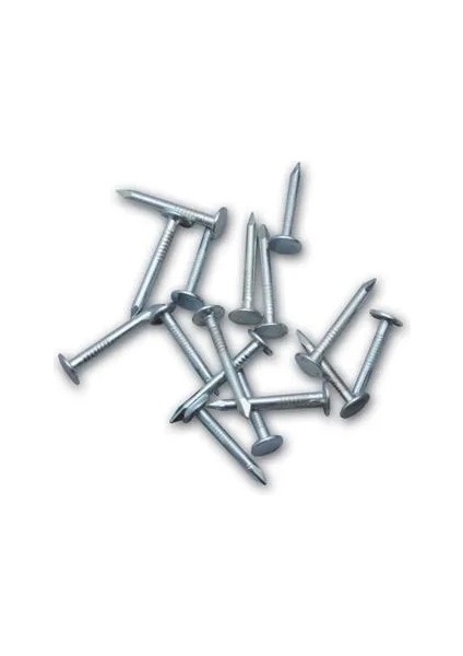 Buğz Şıngıl Çivisi 2,5 kg