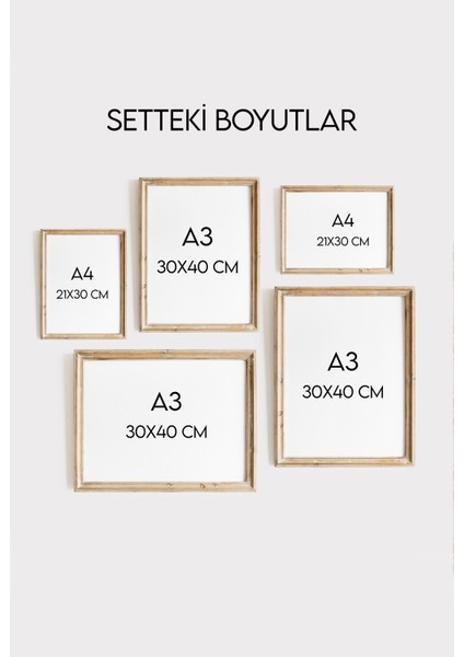 Vintage Peri Kızı Temalı Çocuk Odası Çerçeveli Poster Seti modelleri