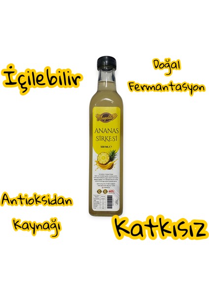 Ananas Sirkesi 500 Ml. fiyatları