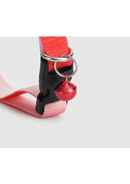 Pembe Provoq T1066 Pembe Ombre Incetasma Kedi fiyatları