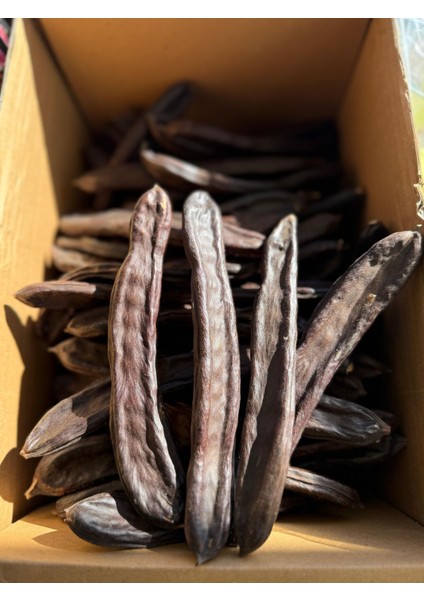 Keçi Boynuzu (250 Gr)