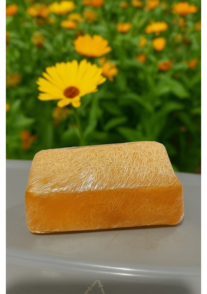 Doğal Kabak Lifli Aynısefa Sabunu - Cildiniz Için Doğanın Hediyesi