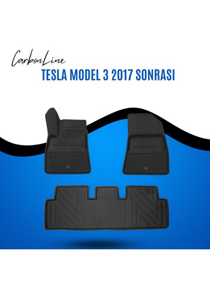 Tesla Model 3 2017 Sonrası 3D Carbonline Araca Özel Paspas