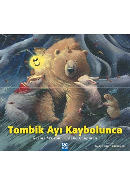 Tombik Ayı Kaybolunca