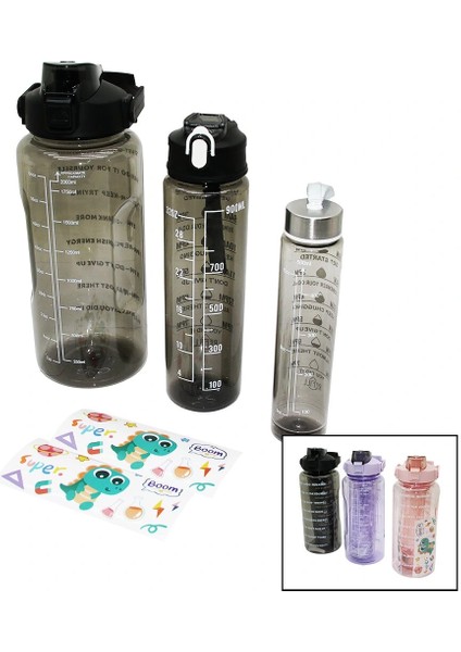 3 Boy Yavrulu Şeffaf Pipetli Renkli Suluk Matara (5047)