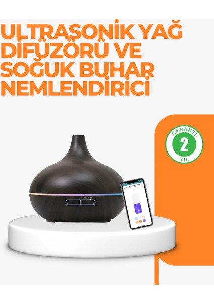 Zaman Ayarlı ve Otomatik Kapanma Özellikli Buhar Makinesi