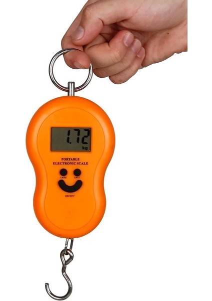 Dijital El Terazisi El Kantarı 50 kg / 10 gr (5047) fırsatları