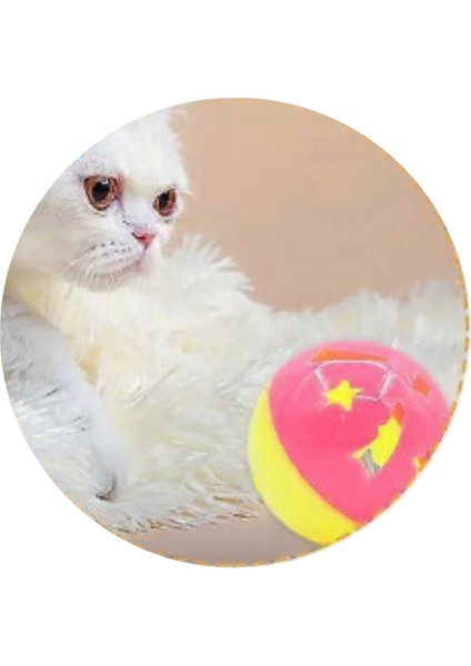 Büro Ev Evcil Hayvanı Kedi Için 4ADET Çıngıraklı Oyuncak Top Seti fiyatları