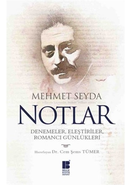 Notlar Denemeler, Eleştiriler, Romancı Günlükleri