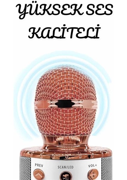 Şarjlı ve Uzun Pil Ömürlü Karaoke Mikrofon USB Bellek Destekli, Profesyonel Ses modelleri