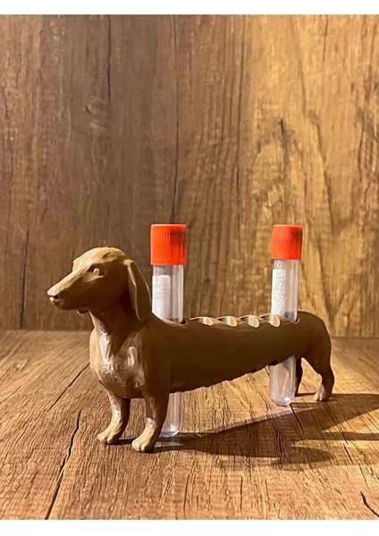 Köpek Laboratuvar ve Kan Tüpü Standı