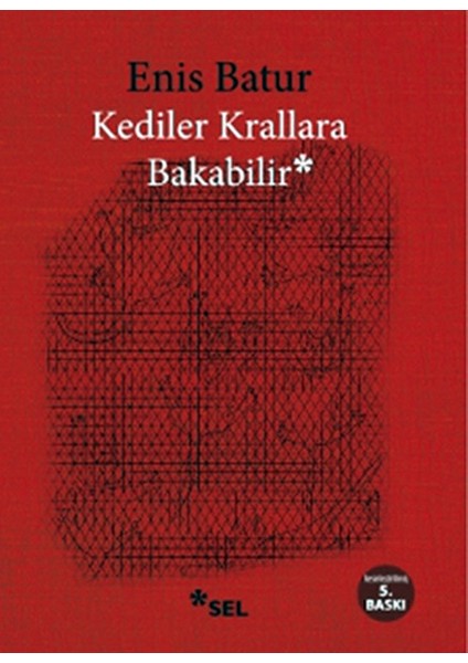 Kediler Krallara Bakabilir