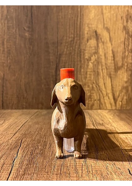 Köpek Laboratuvar ve Kan Tüpü Standı fiyatları