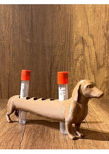 Köpek Laboratuvar ve Kan Tüpü Standı modelleri