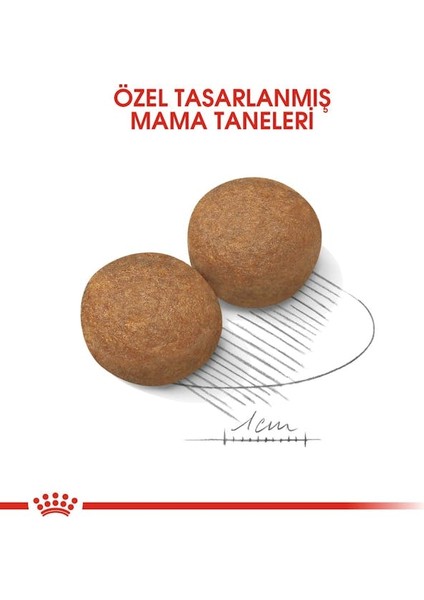 Maxi Adult Büyük Irklar Için Yetişkin Kuru Köpek Maması 15 Kg