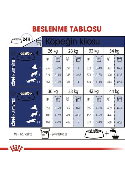 Maxi Adult Büyük Irklar Için Yetişkin Kuru Köpek Maması 15 Kg