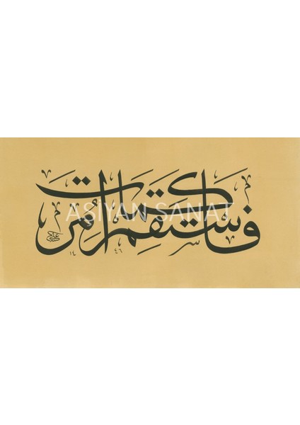 Emrolunduğun Gibi Dosdoğru Ol ( Hud Suresi 112.AYETI) (Baskı)