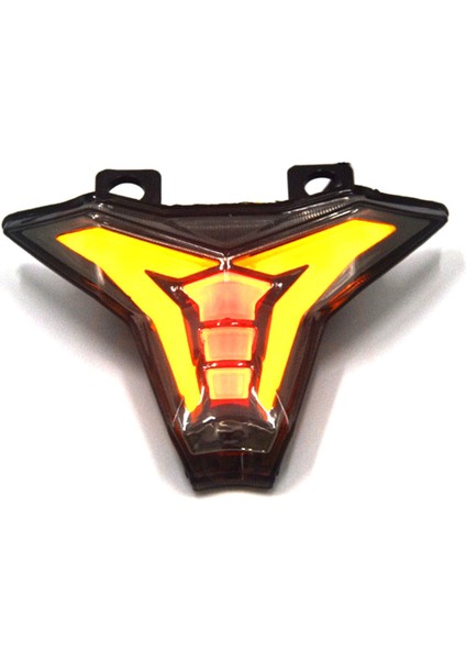 Motosiklet Kuyruk Işığı LED Kawasaki Z250 Z400 Z1000 Nınja ZX-10R Zx-6r 2014-2025 Şeffaf (Yurt Dışından) fırsatları