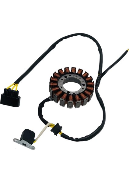 Linhai 400CC Atv Parçaları Için Magneto Stator Efı 27450DP Atv/utv Parçalar ve Aksesuarlar (Yurt Dışından) fiyatları