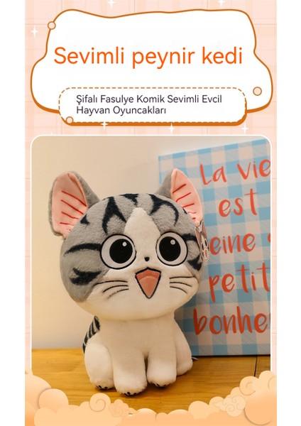 Yeni Peluş Bebeği Yastık Köpekbalığı Kedi Bebeğine Dönüştürüldü Satın Alındı) (Yurt Dışından) fiyatları