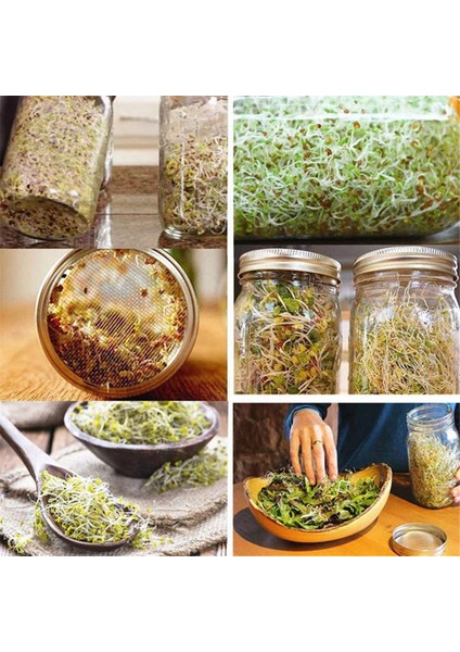 Filiz Yetiştirmek Için Geniş ve Geniş Ağızlı Kavanoz Için 4'lü Paslanmaz Çelik Filizlendirme Kavanozu Kapağı (Yurt Dışından) modelleri