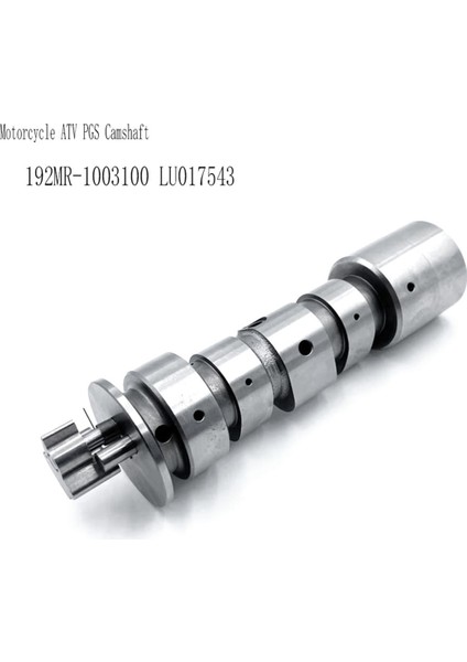192MR-1003100 Motosiklet Atv Pgs Kazuma Jaguar 500 Xinyang XY500 Atv 500 Quad 500CC Velomotors LU017543 (Yurt Dışından) indirimleri