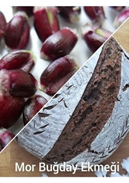 Mor Buğday Unu Tam Buğday Unu 1 kg Yüksek Protein ve Vitamin fırsatları