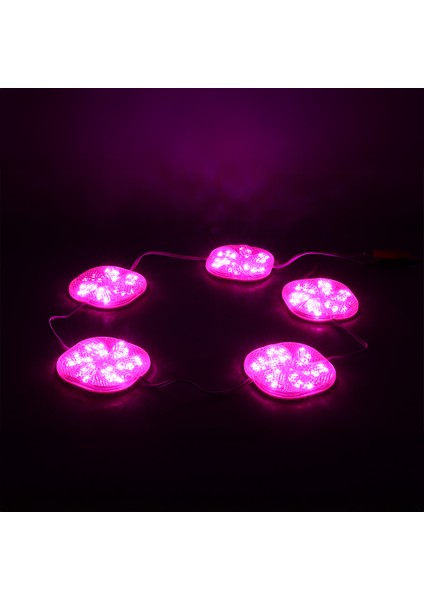 12 Volt 3 Watt Pembe Yanıp Sönen 6565-2835 Modül LED modelleri