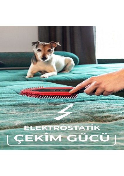 2 Paket Pet Pro Elektrostatik Fırça modelleri