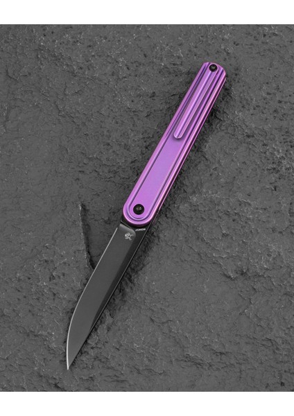Bestech Ink BT2502C Mor Titanyum Sap Magnacut Çelik Çakı fiyatları