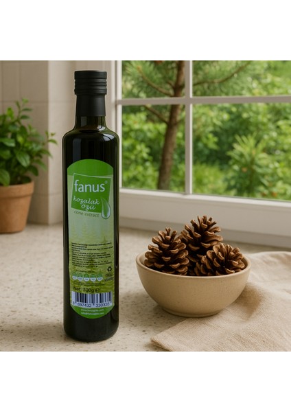 Kozalak Özü 700 gr fiyatları