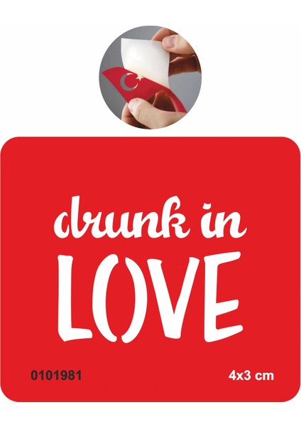 Aşk Sarhoşu Tattoo Geçici Dövme Şablonları Kına Kalıpları