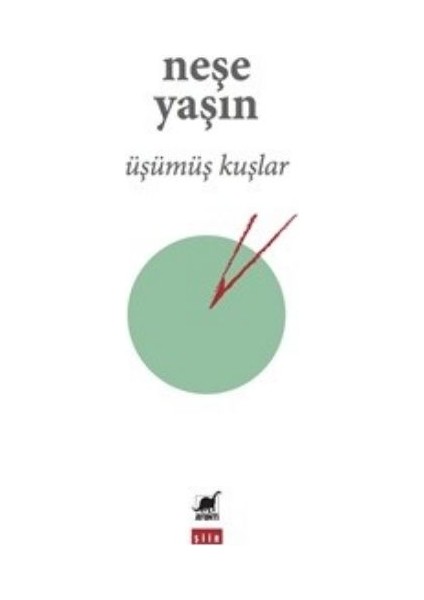 Üşümüş Kuşlar