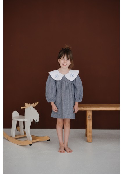 Birde Kuş Nakışlı Lacivert Uzun Kollu Elbise