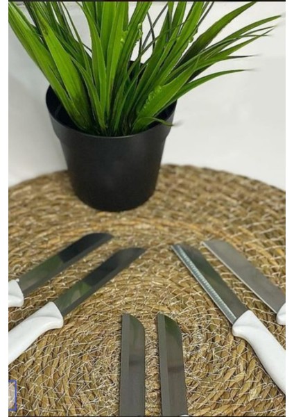 6 Adet Paslanmaz Çelik Bıçak Solingen