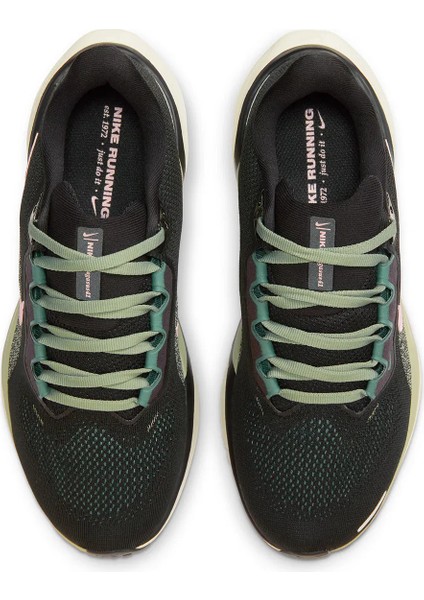 W Air Zoom Pegasus 41 Kadın Siyah Koşu Ayakkabısı FD2723-009 modelleri