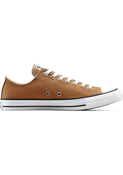 CHUCK TAYLOR ALL STAR Kahverengi Kadın Sneaker