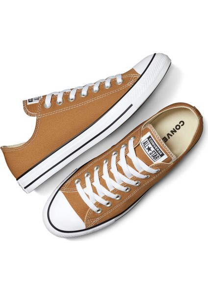 CHUCK TAYLOR ALL STAR Kahverengi Kadın Sneaker