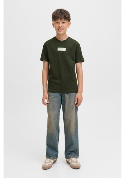 Jjpan Tee Ss Crew Neck Jn Haki Erkek Çocuk Kısa Kol T-Shirt