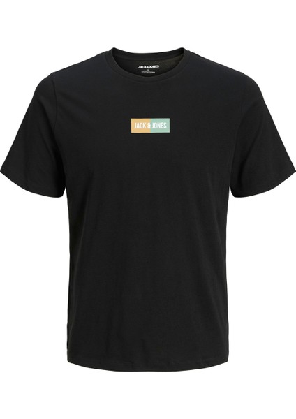 Jjpan Tee Ss Crew Neck Jn Siyah Erkek Çocuk Kısa Kol T-Shirt