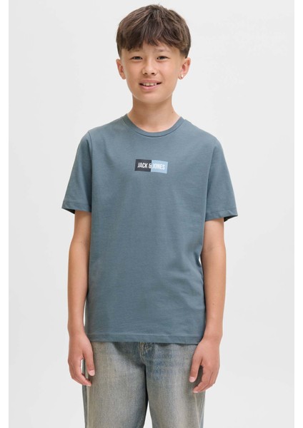 Jjpan Tee Ss Crew Neck Jn Grı Erkek Çocuk Kısa Kol T-Shirt