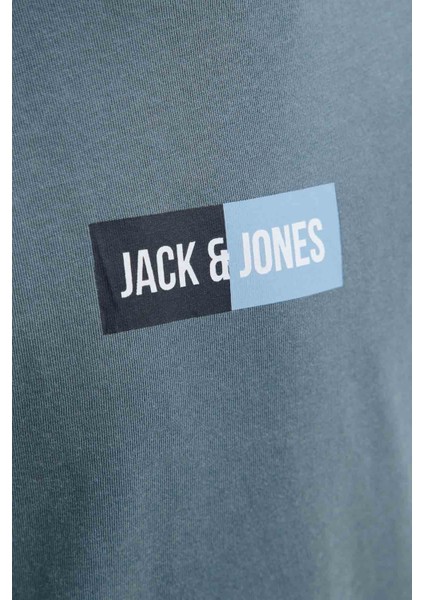 Jjpan Tee Ss Crew Neck Jn Grı Erkek Çocuk Kısa Kol T-Shirt